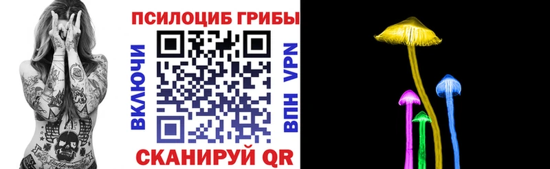 Галлюциногенные грибы Psilocybe  Иланский 